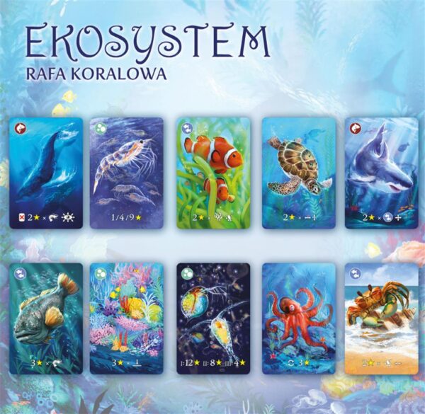 Ekosystem 2: Rafa koralowa - obrazek 2