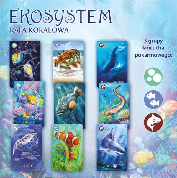 Ekosystem 2: Rafa koralowa - obrazek 3