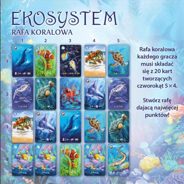 Ekosystem 2: Rafa koralowa - obrazek 4